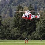 Dinas Damkar Jombang Evakuasi Ular di Area Permukiman